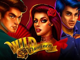 Wild Flamenco screenshot